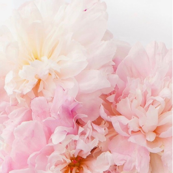 Meet your Posher, Livia - Picture 1 of 1